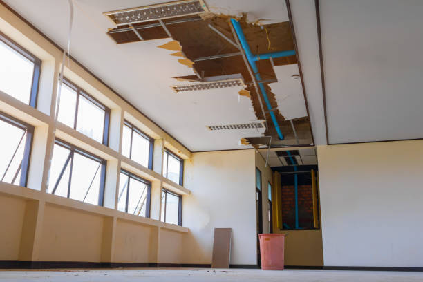 Best Sewage cleanup and water damage restoration  in Willow Grove, PA