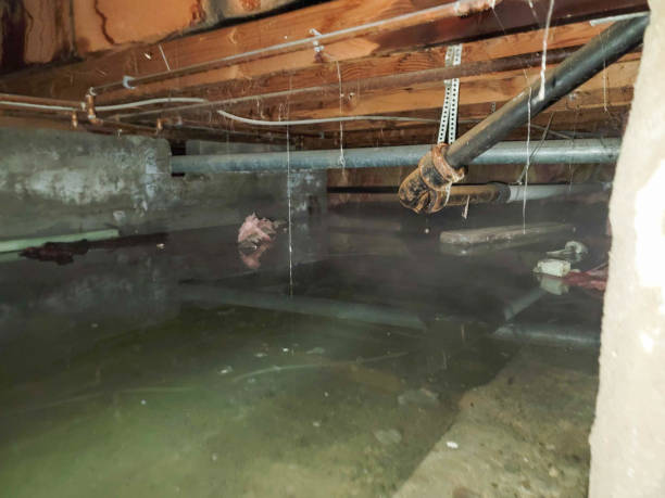 Best 24-hour water damage restoration  in Willow Grove, PA