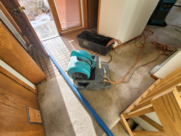 Best Basement water damage restoration  in Willow Grove, PA