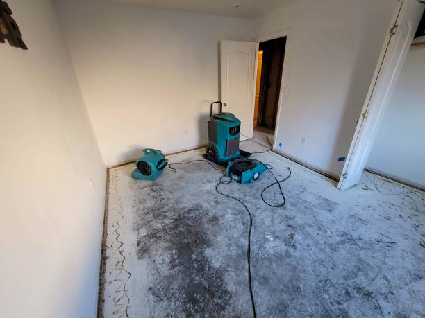 Best Flood restoration services  in Willow Grove, PA