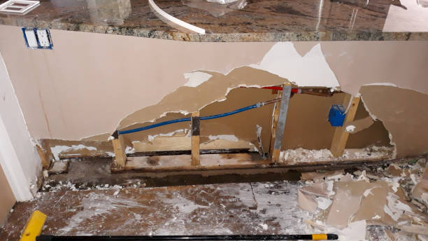 Best Carpet water damage restoration  in Willow Grove, PA