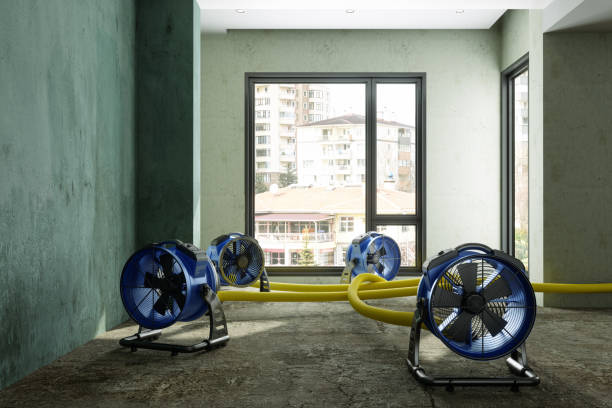 Best Residential water damage restoration  in Willow Grove, PA